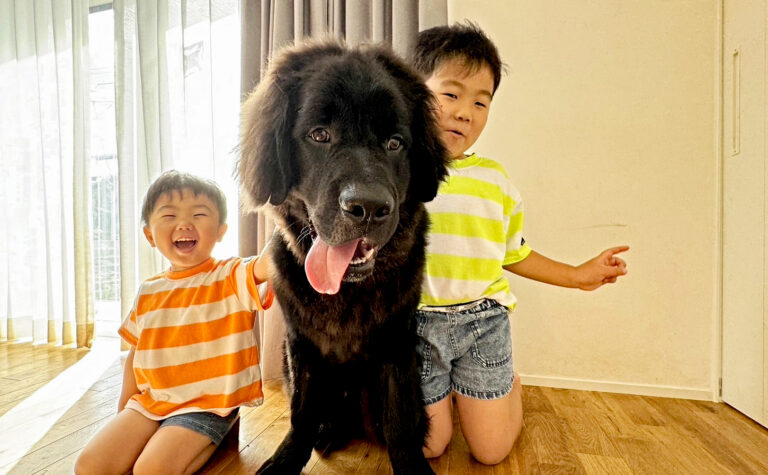 大和建設　注文住宅施工実例