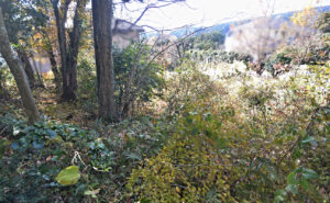 大和建設　売土地