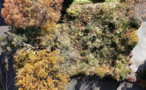 大和建設　売土地